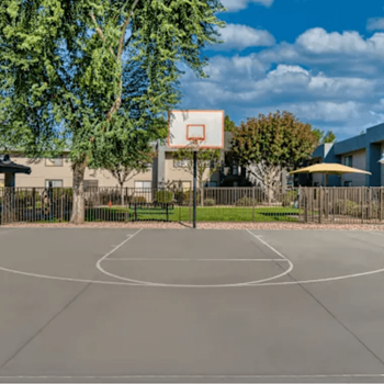 Basketball court